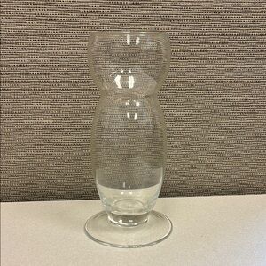 Elegant Clear Glass Vase